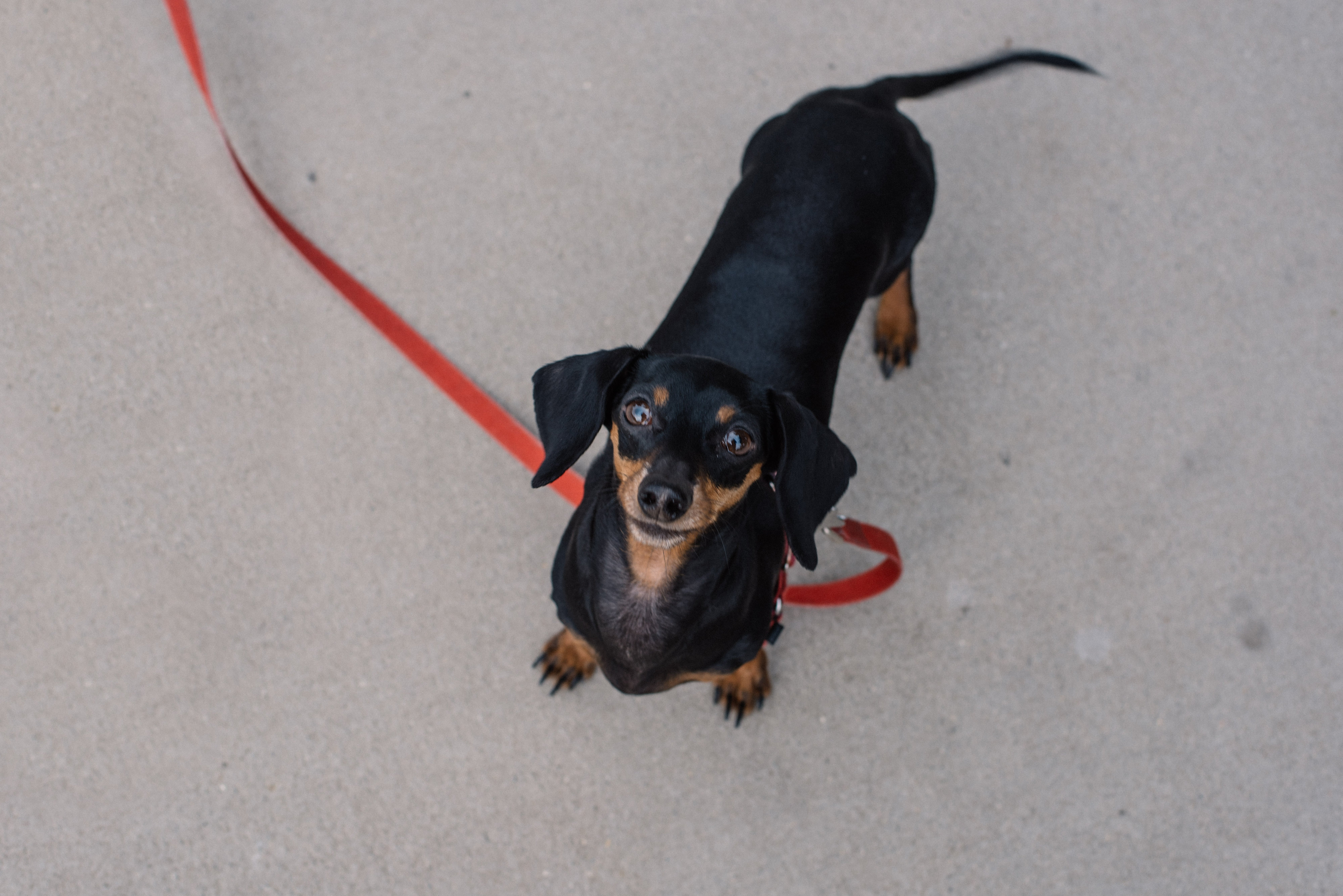 View More: http://lostkeysmedia.pass.us/lenaandlewis